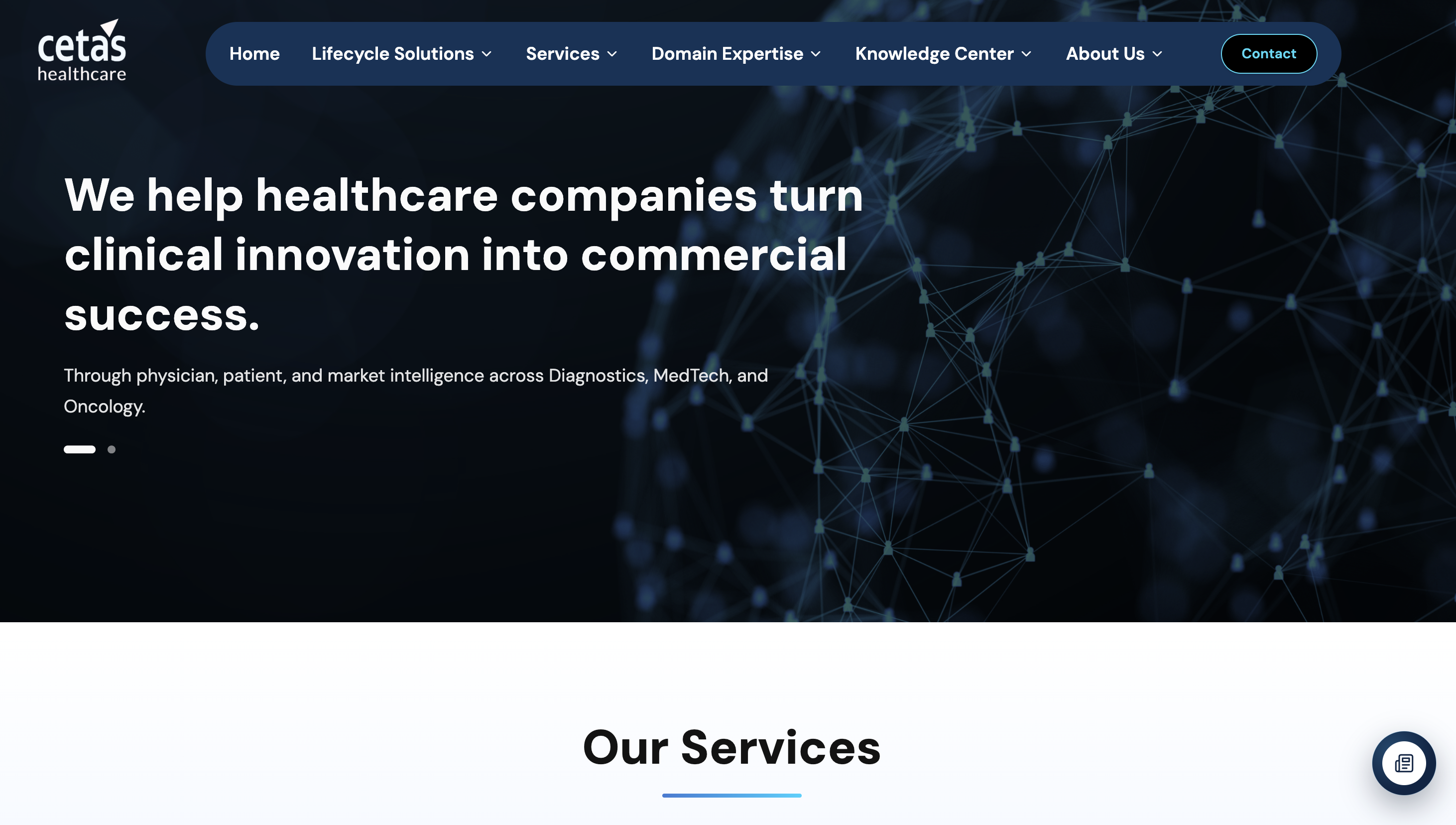 Website project preview