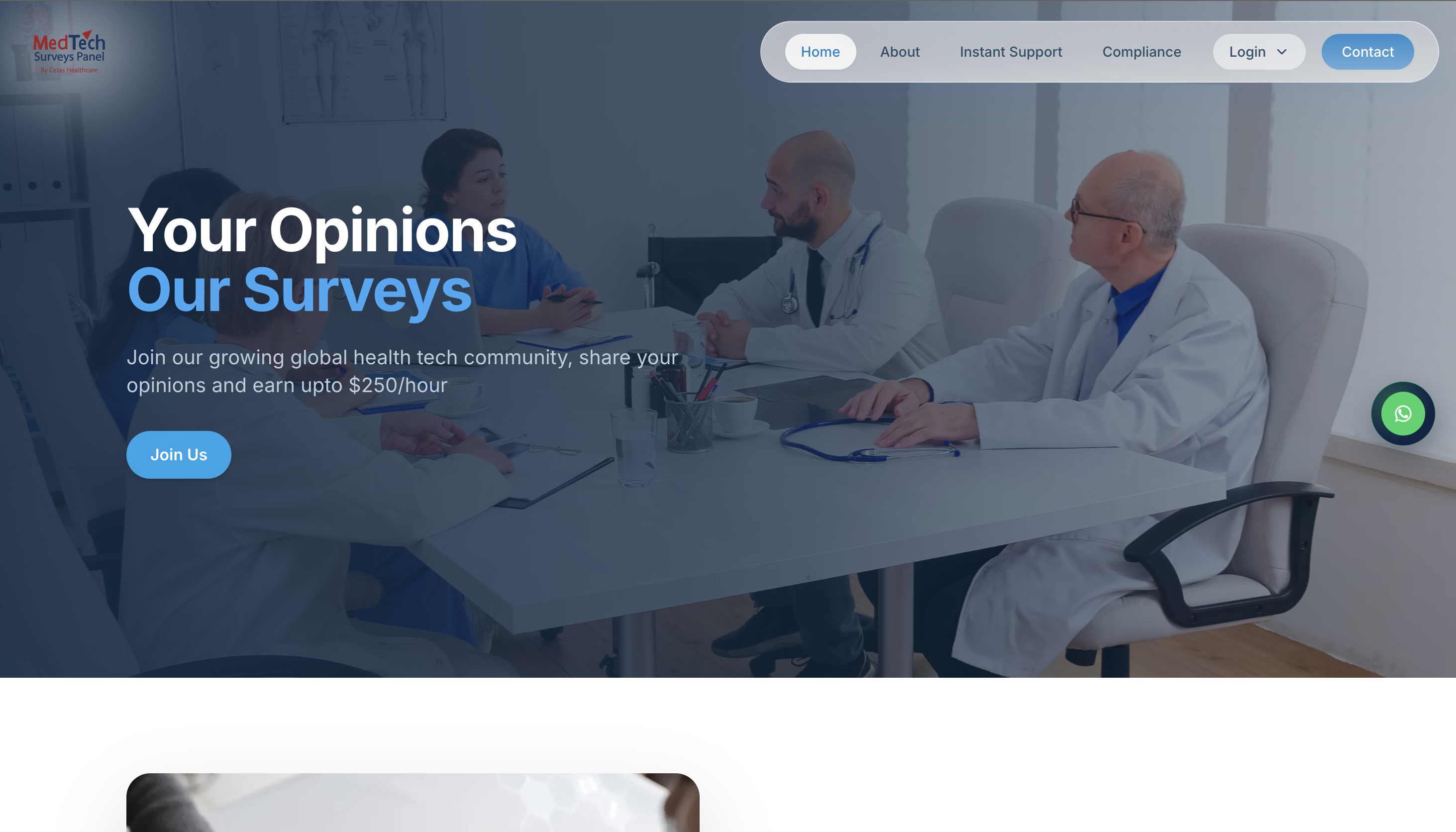 Website project preview