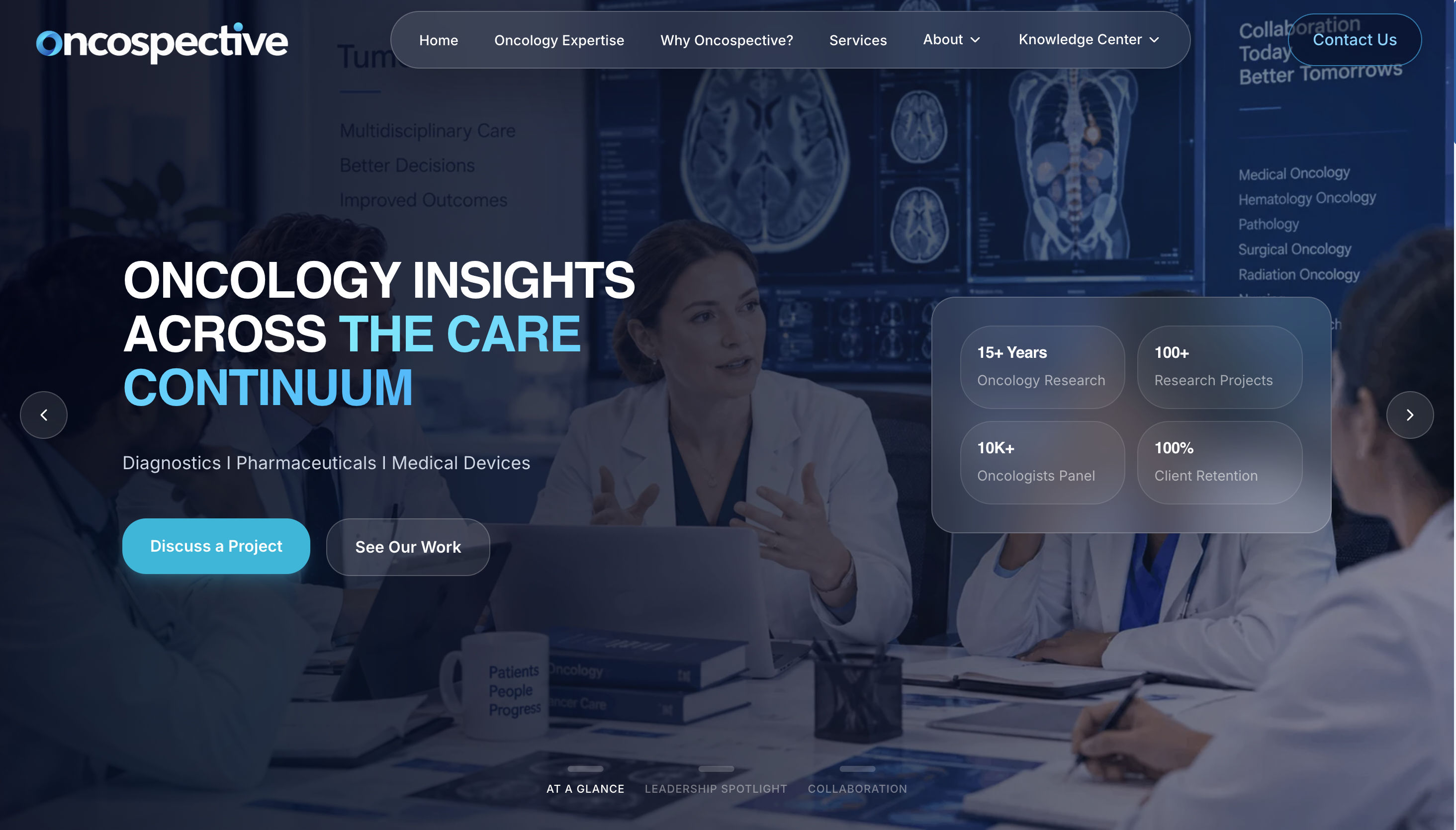 Website project preview
